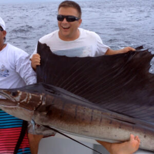 Sailfish - March 15th 2017