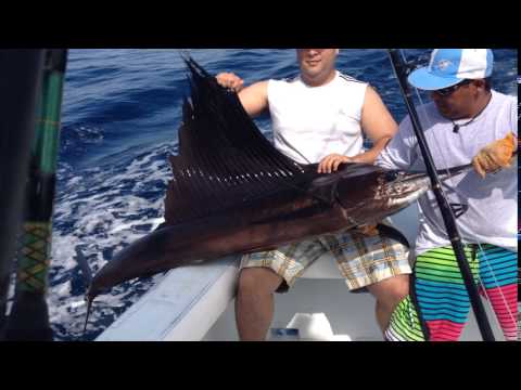 Sailfish 2 - Quepos