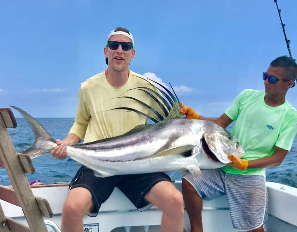 Roosterfish Ocotal Costa Rica