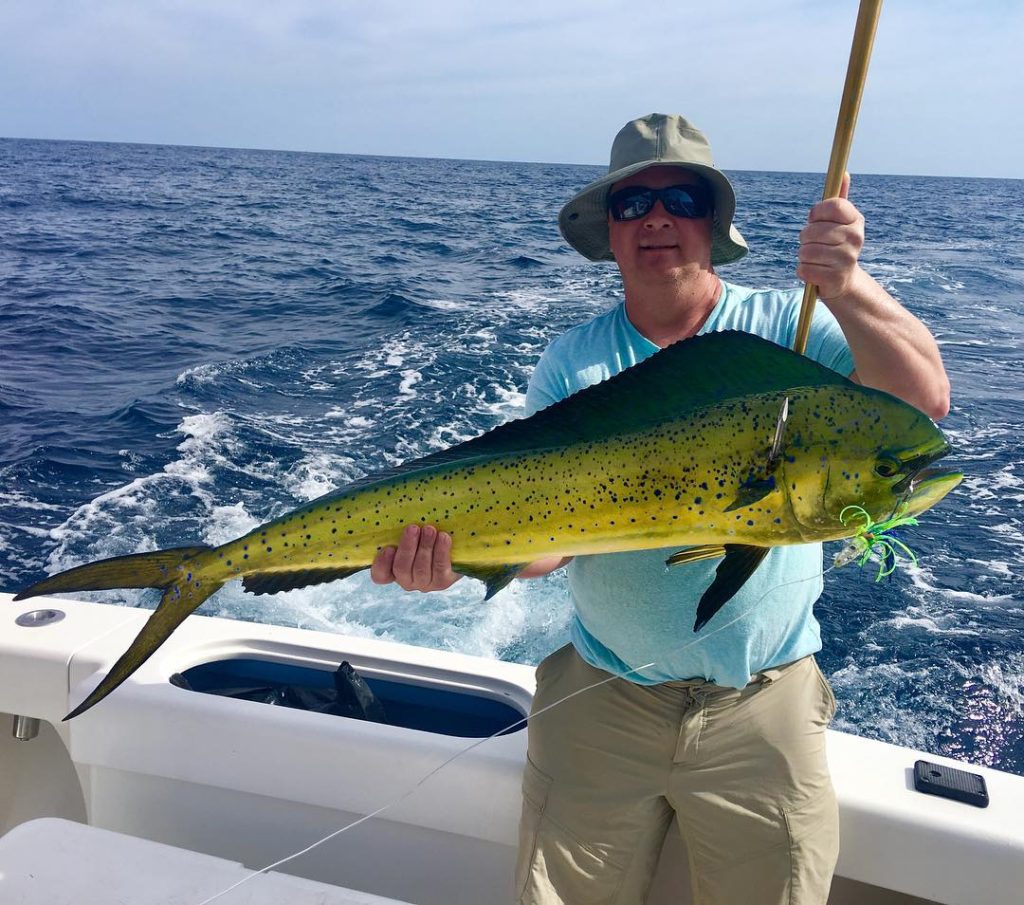 Tamarindo Costa Rica Mahi mahi