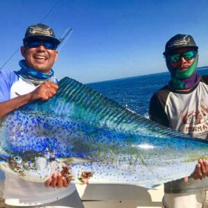 Tamarindo fishing mahi mahi