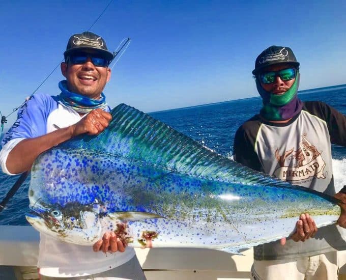 Tamarindo fishing mahi mahi