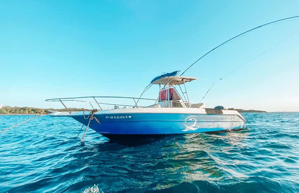 Costa Rica Fishing Charter Sea Ray Center Console